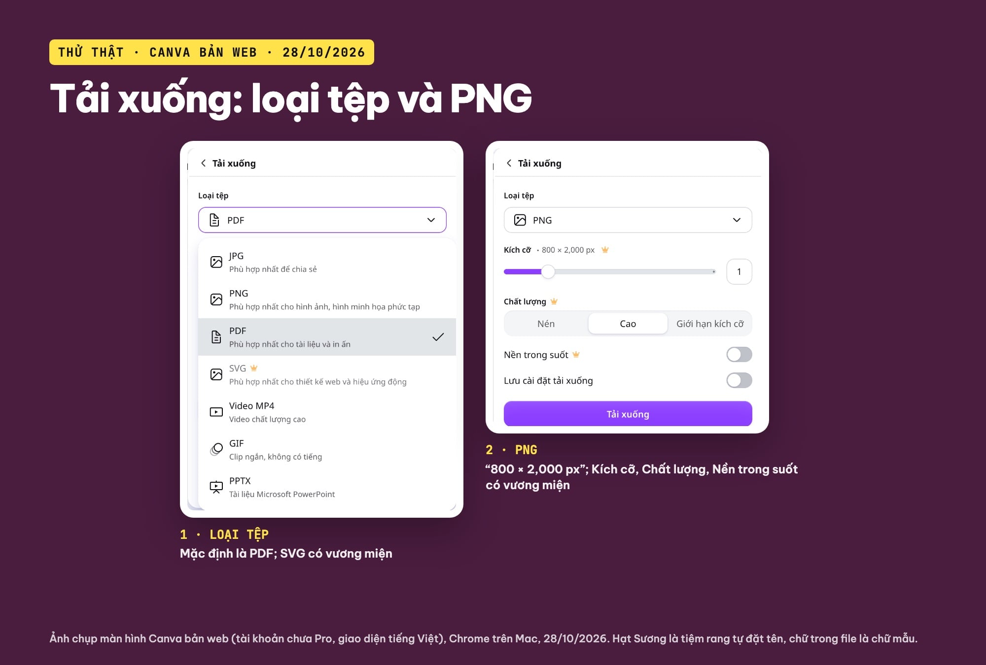 Tải infographic Canva về PNG