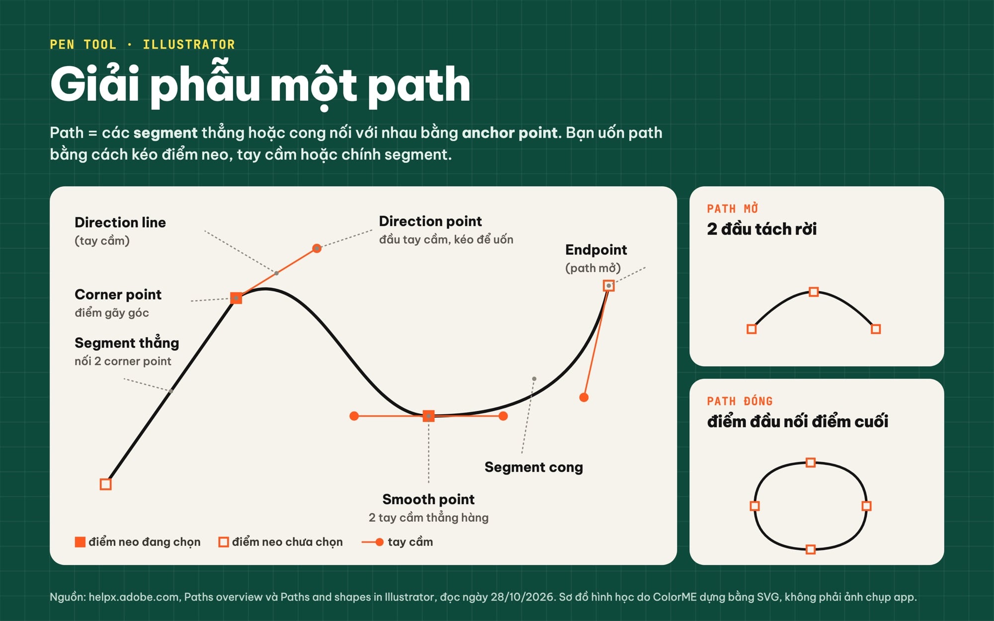 Cấu tạo path trong Illustrator: anchor point, direction line, smooth point, corner point