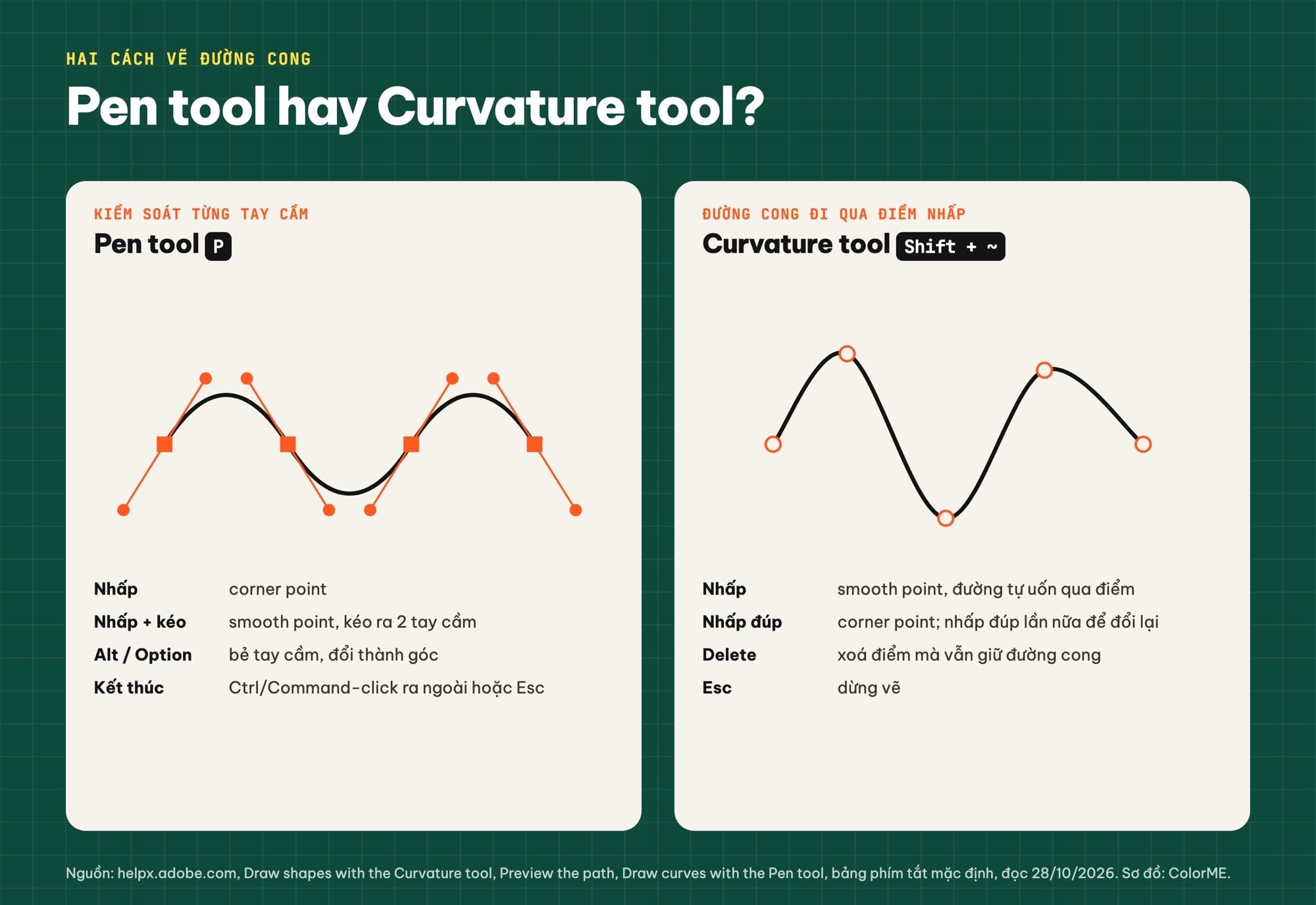 So sánh Pen tool và Curvature tool trong Illustrator