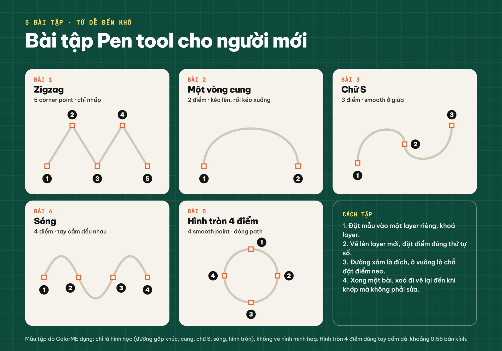 5 bài tập Pen tool Illustrator cho người mới: zigzag, vòng cung, chữ S, sóng, hình tròn