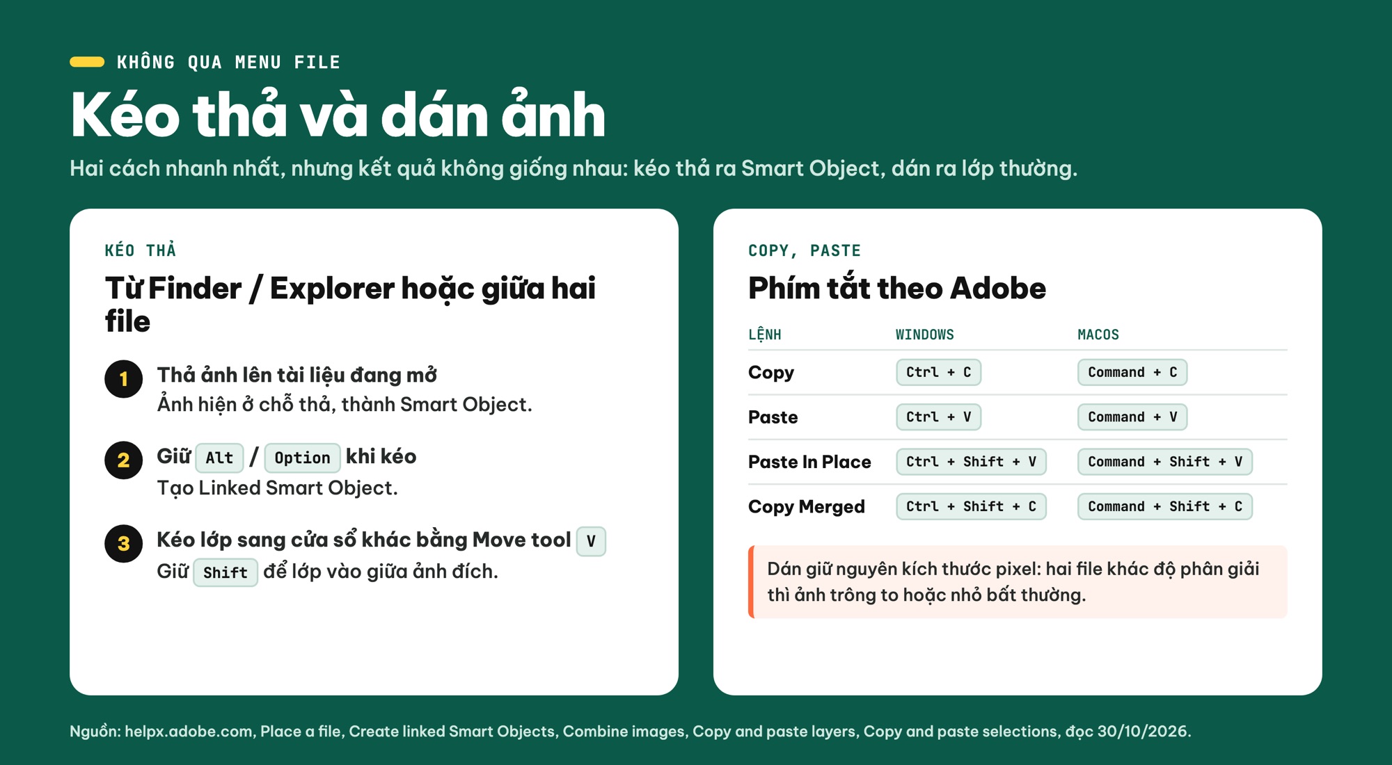 Kéo thả và copy paste ảnh vào Photoshop, phím tắt Windows và macOS