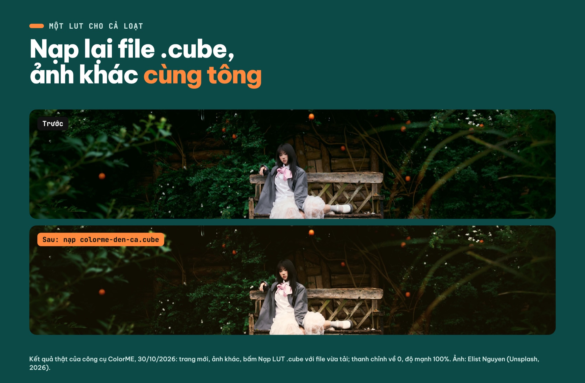 Áp cùng một LUT cho ảnh khác