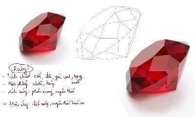 RUBY - BTVN BUỔI 11