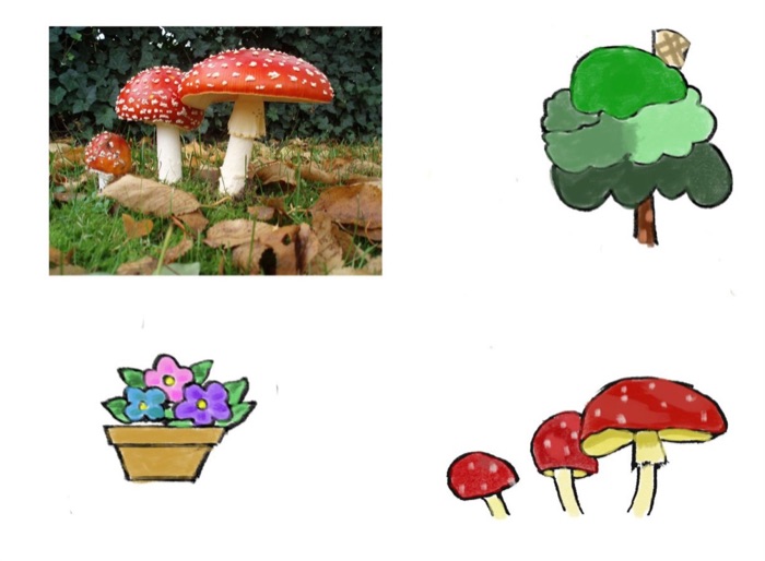 Btvn buổi 5 - vẽ thực vật