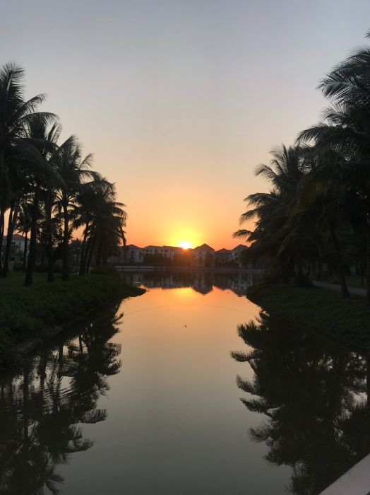 Nguyễn Trà Giang