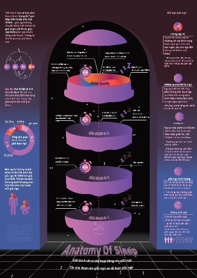 Anatomy of sleep