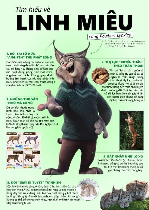 btvn buổi 13