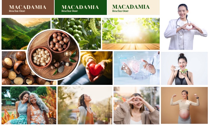 MACADAMIA MOODBOARD & STYLEBOARD
