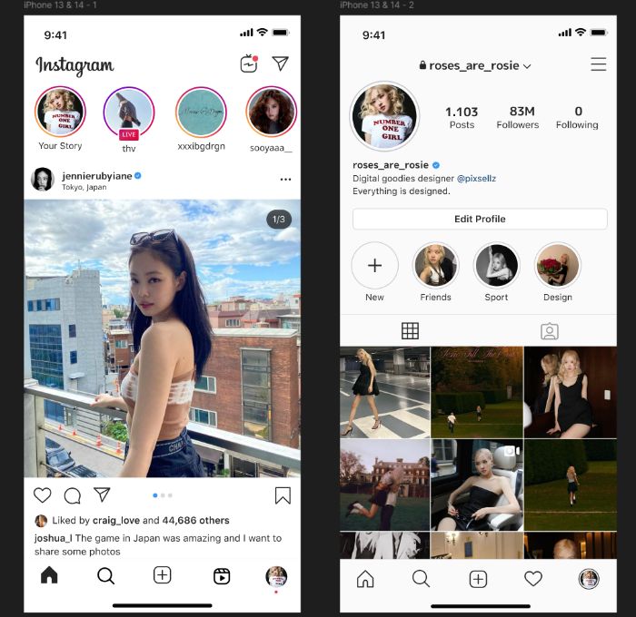 Newsfeed & Profile của Instagram