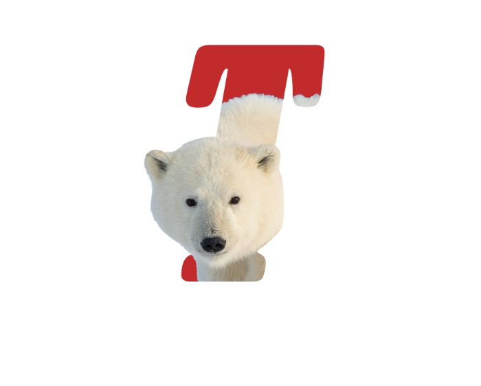 btvn
