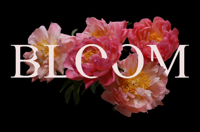 BLOOM
