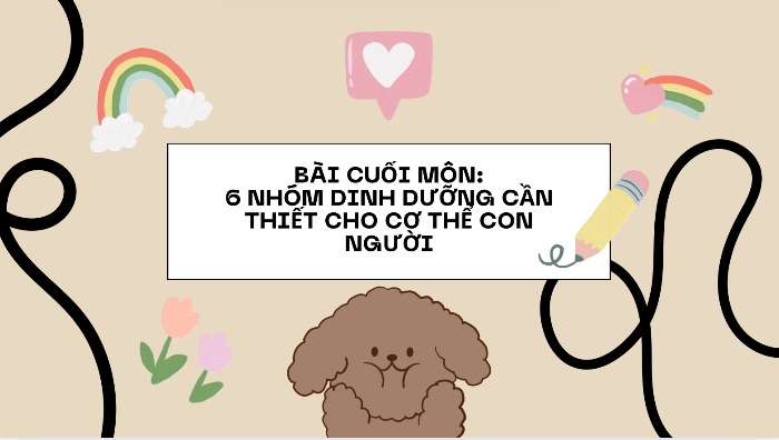 Collection: 6 nhóm dinh dưỡng cần thiết cho cơ thể con người