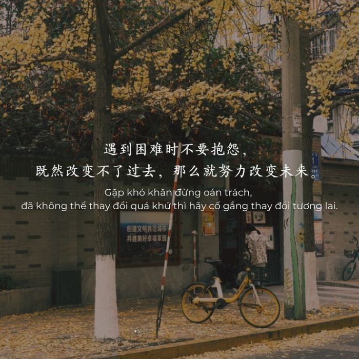 B2_Nguyễn Trà My