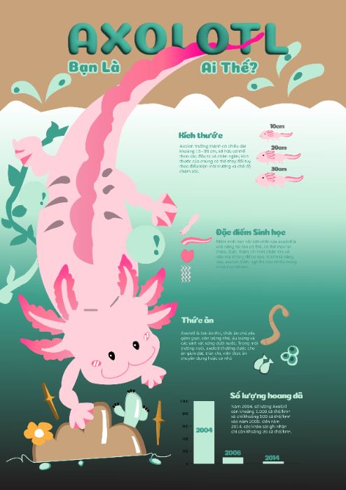 AI 134.11_Pham Nguyen Quynh Nhu_INFOGRAPHIC