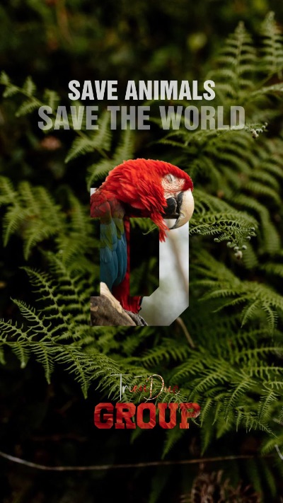 Environmental Project