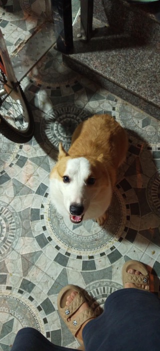 Đỗ Thị Hải Uyên