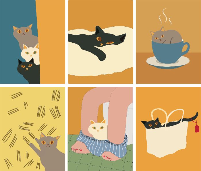 meow