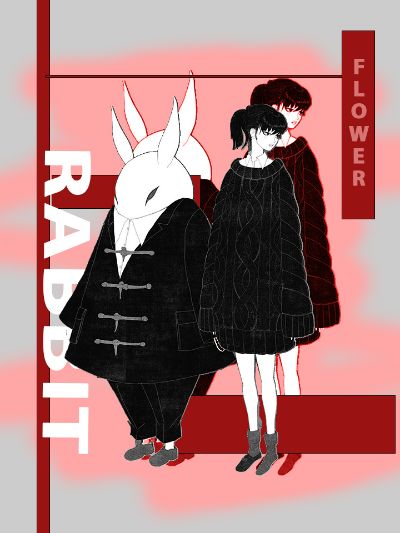 rabbit ne