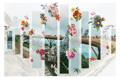 design tự do
