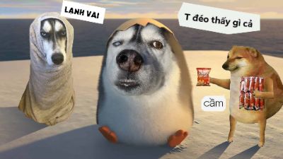 BTVN buổi 1