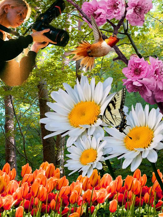Floral in forest