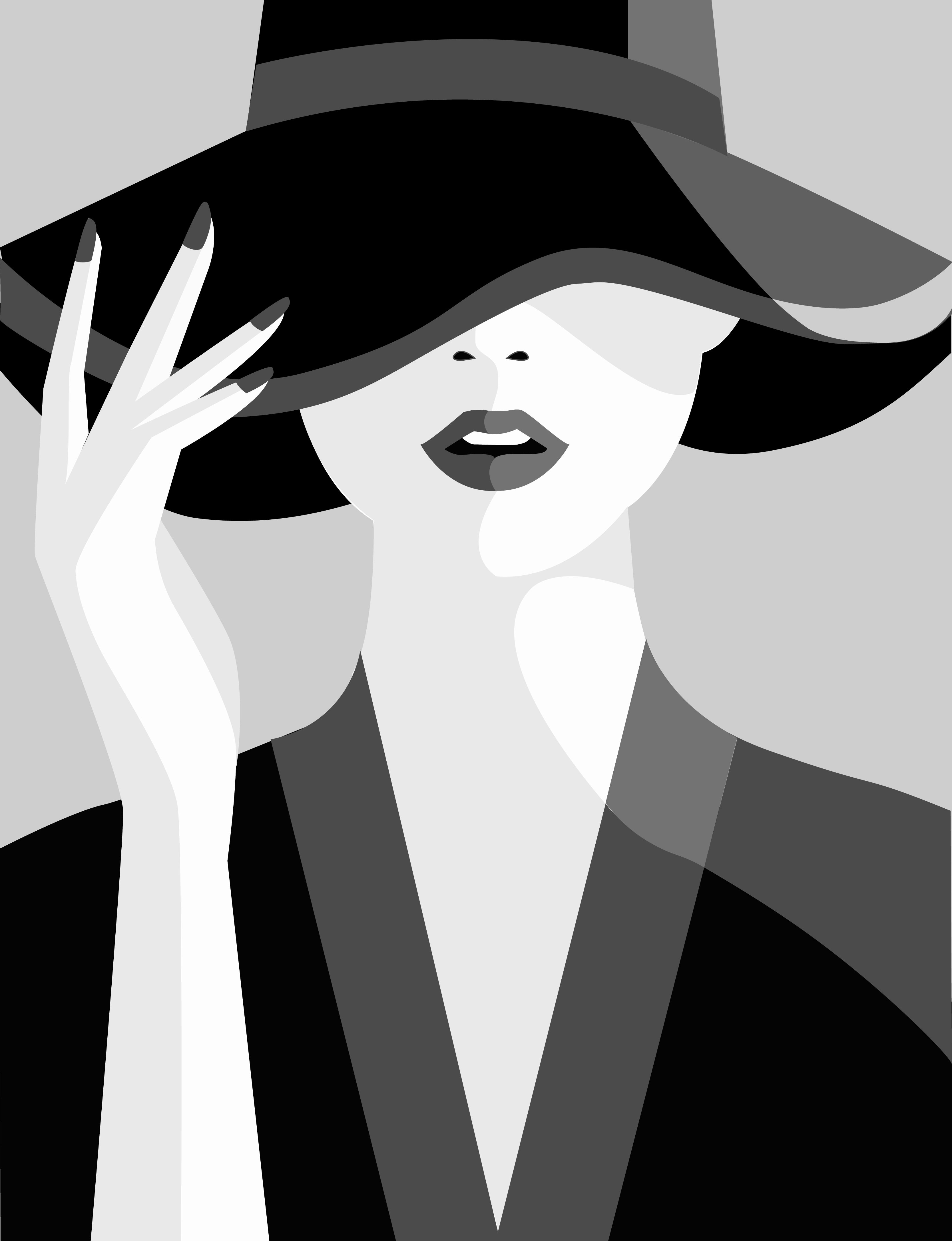 portrait illustration