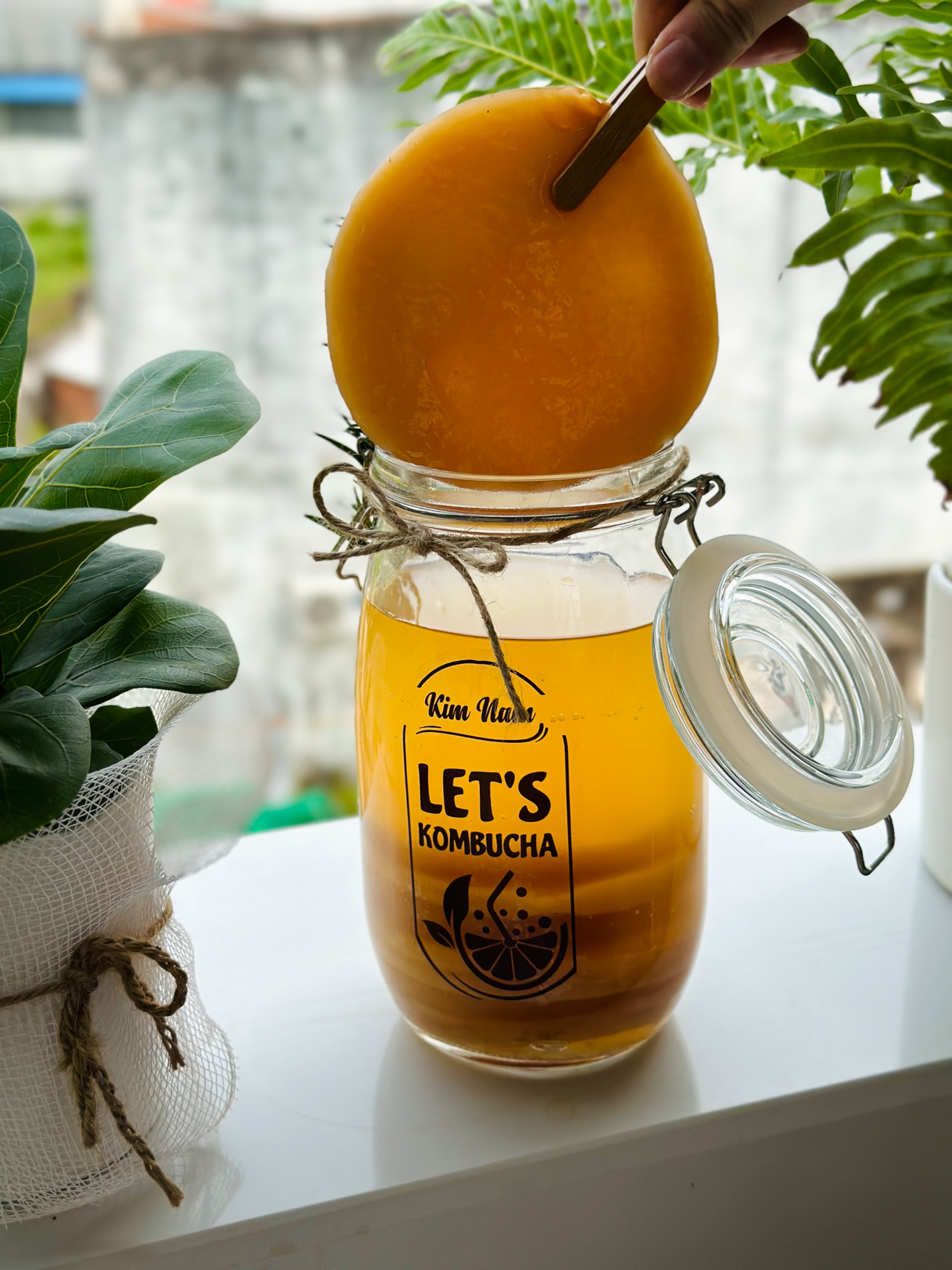 Kombucha