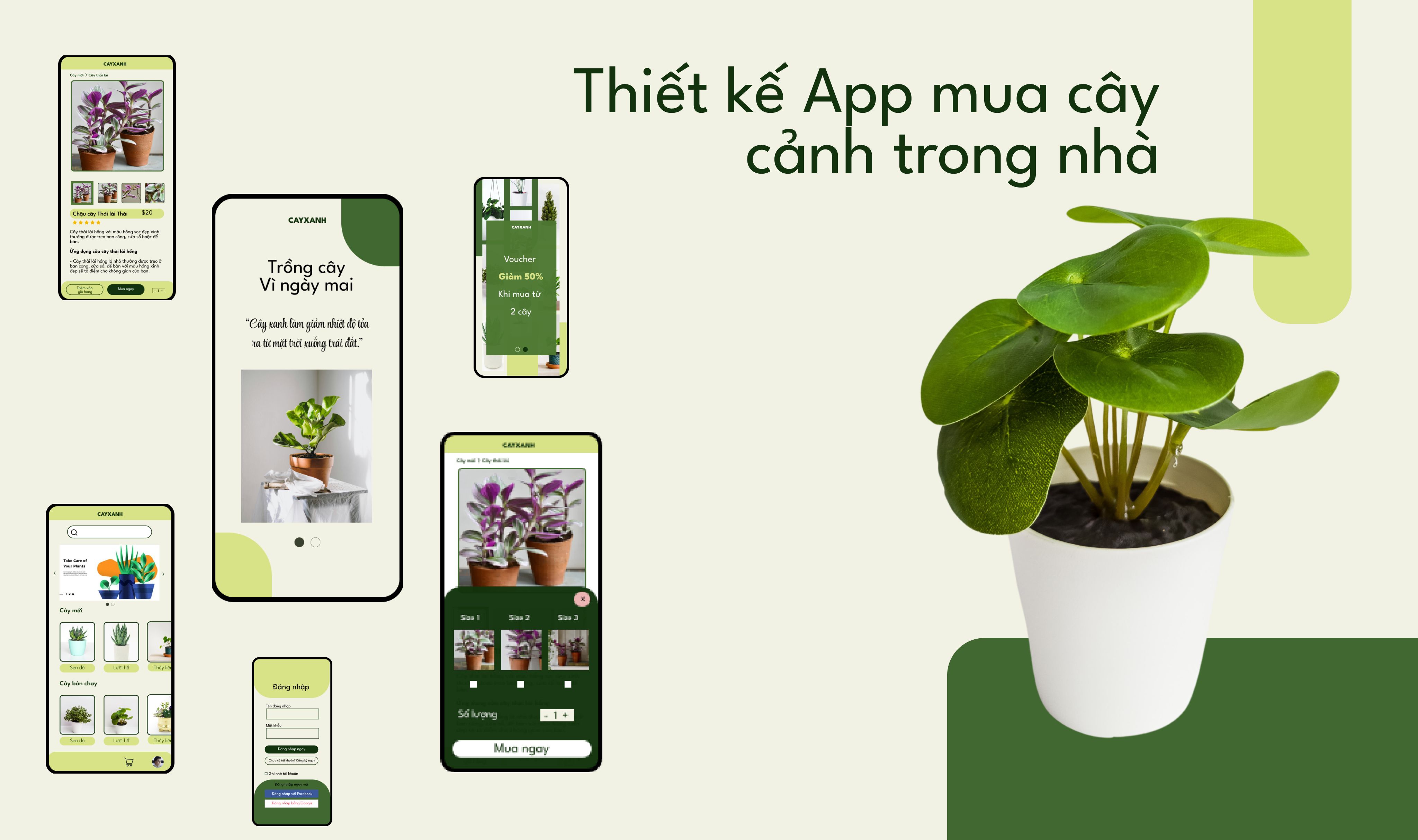 Bài tập cuối kỳ