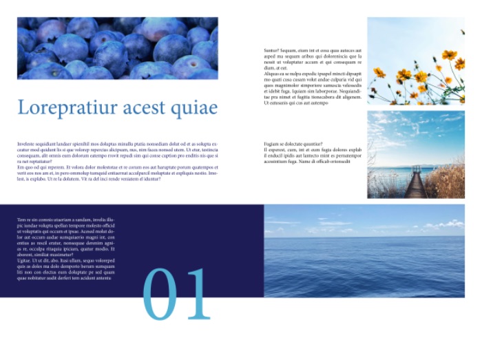 Indesign Day 1