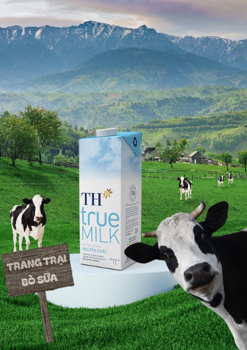 BTVN buổi 6