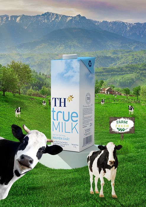 BTVN PTS 06