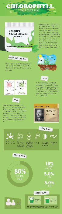 BCK infographic Diệp Lục