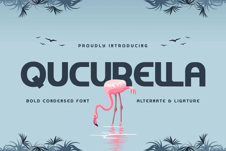 Font Qucuerlla