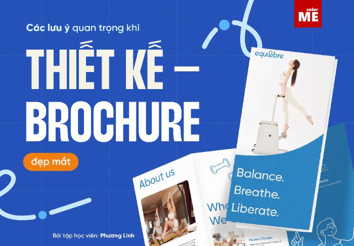 Brochure là gì? Các lưu ý quan trọng để thiết kế brochure chuẩn nhất