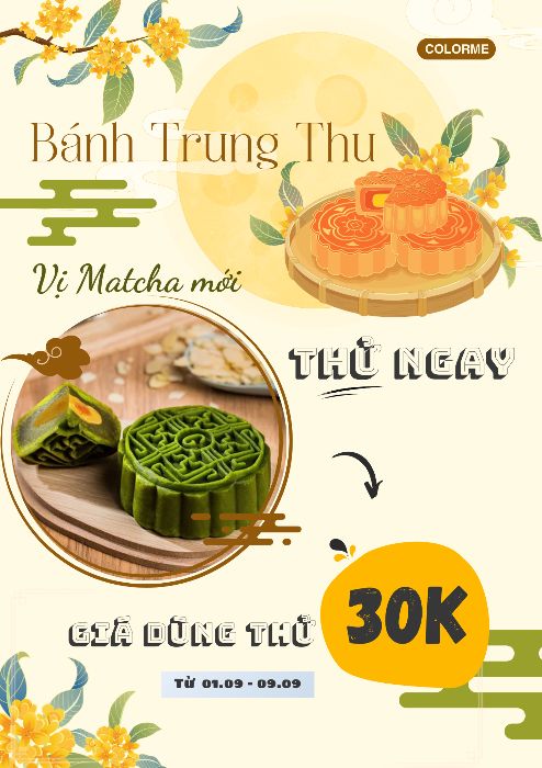 B1_Nguyen Hai Anh_Canva 129.2