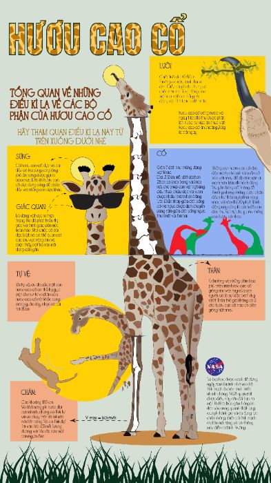 inforgraphic
