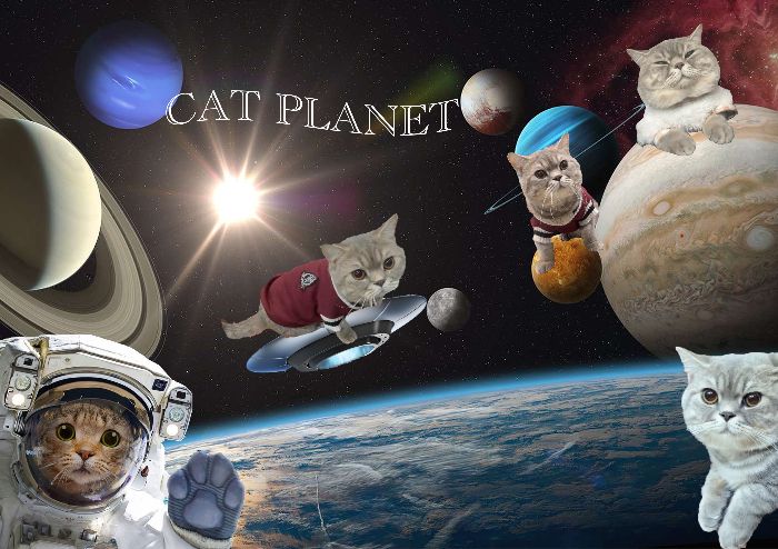 Cat planet