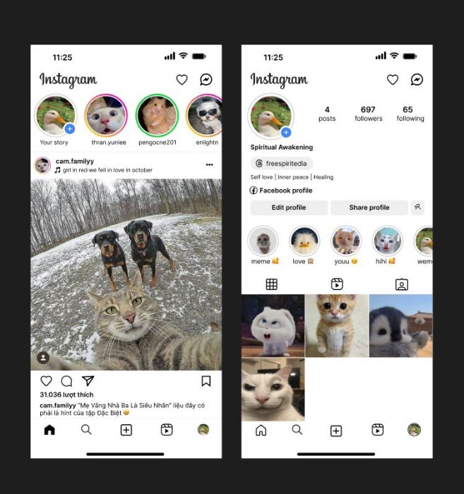 Redesign 02 màn hình Newsfeed & Profile của Instagram