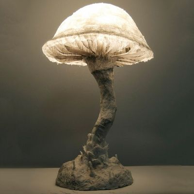 BTVN Buổi 2