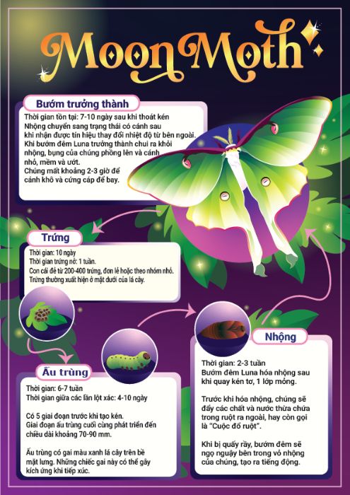 Bài Tập Cuối Khóa