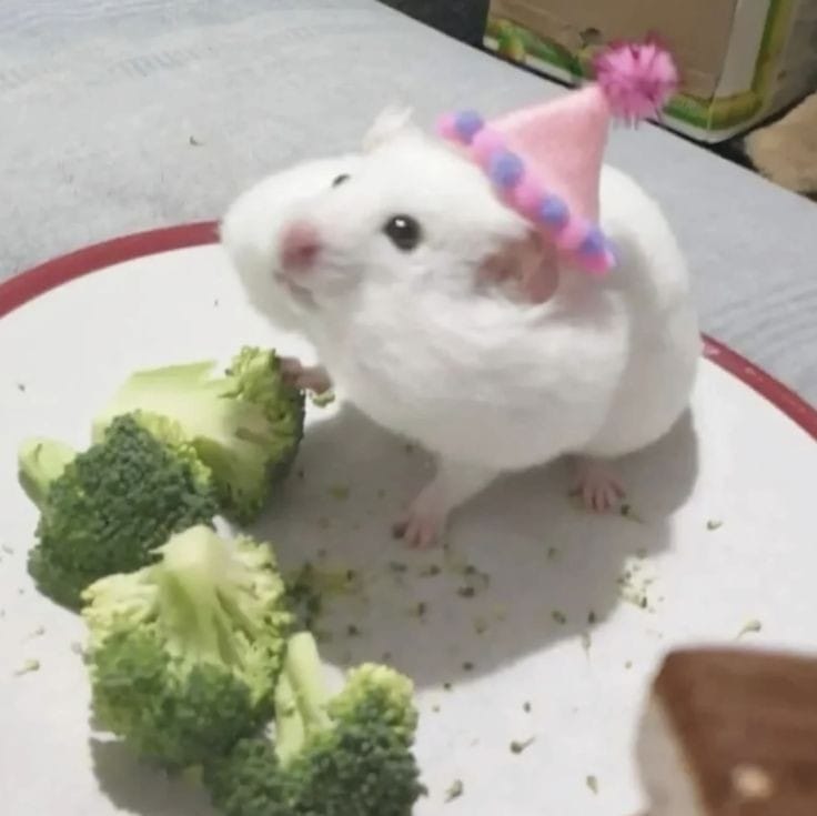 BTCK