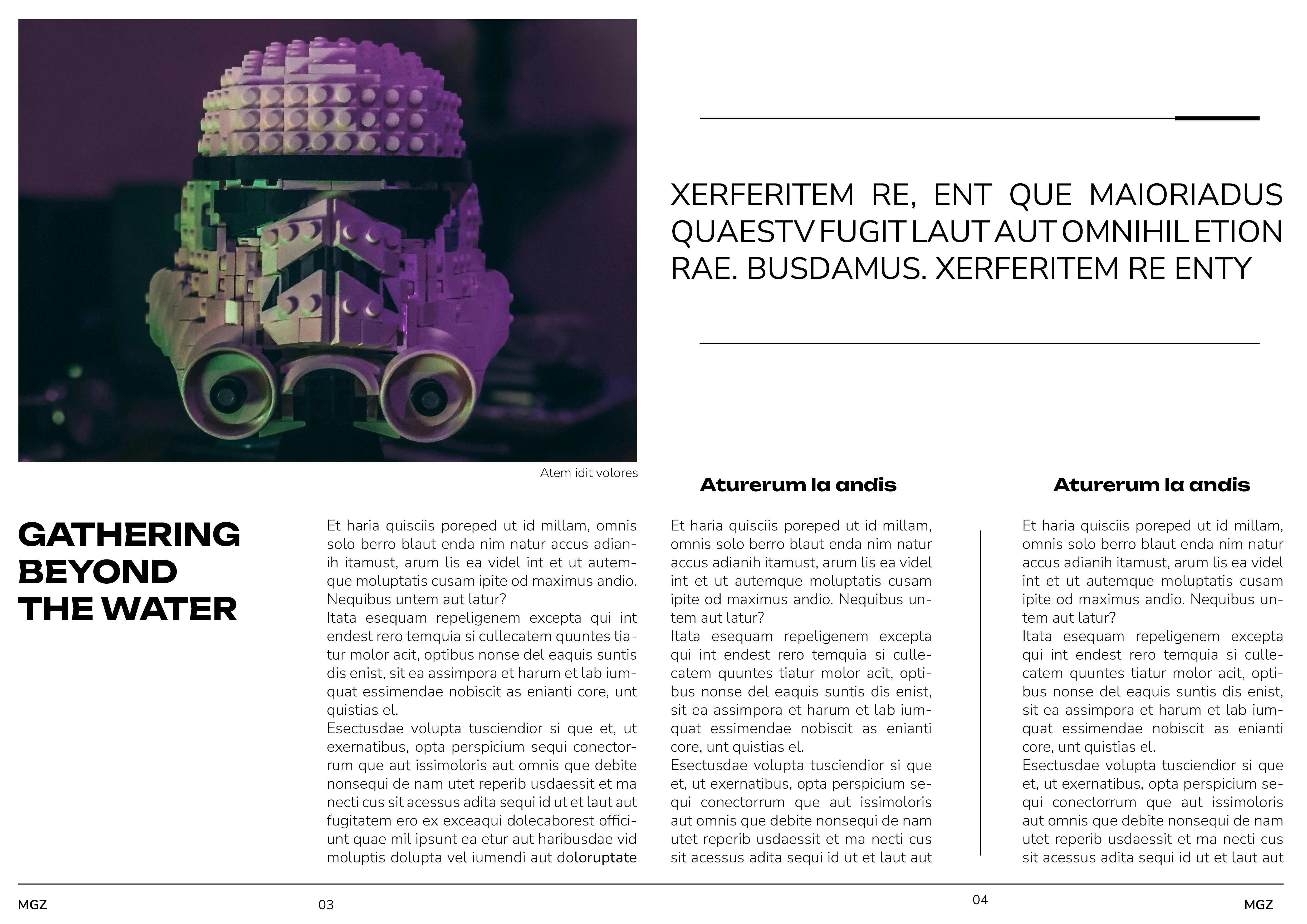 B1 INDESIGN