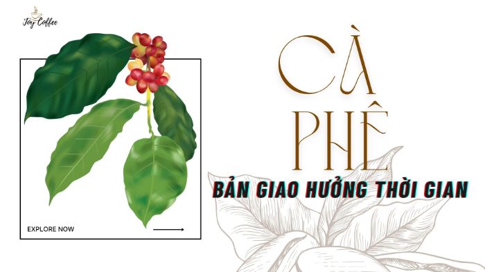 BTCK_TRƯƠNG ĐỨC HOÀN
