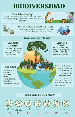 Infographic