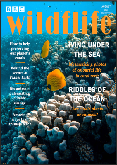 Magazine cover