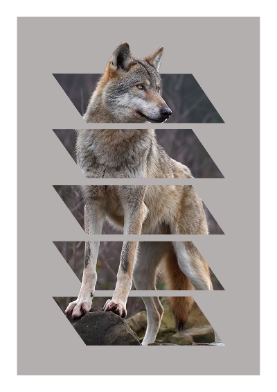 Woof