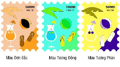 Bài tập cuối kỳ