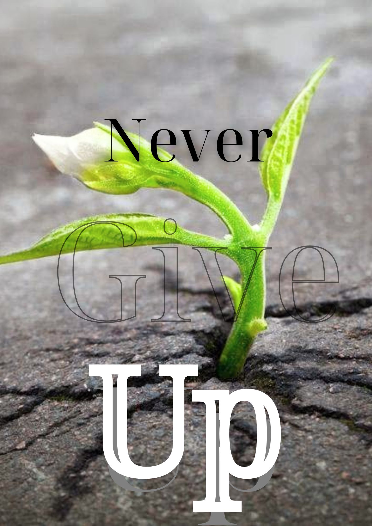 bt2_ nguyễn tấn đạt