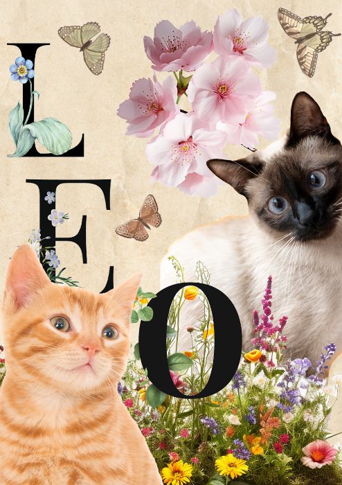 LEO