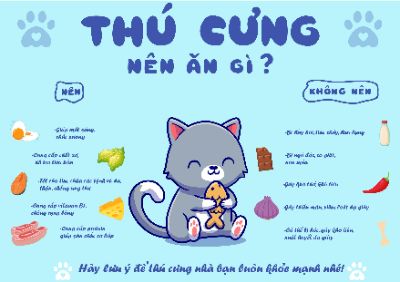 bài tập cuối kì